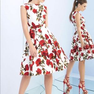 Mac Duggal rose dress